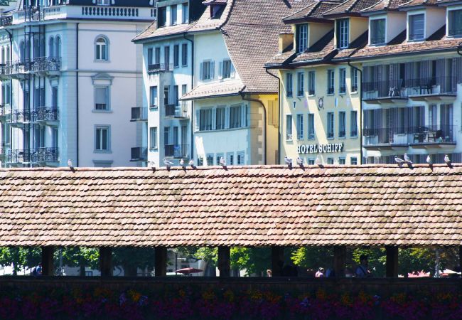Ferienwohnung in Luzern - LU Neptun I - Chapel bridge HITrental Apartment