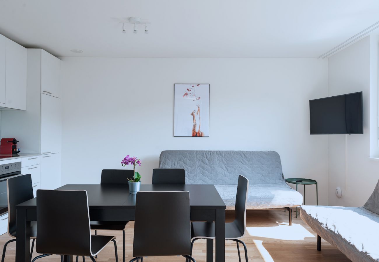 Ferienwohnung in Basel - BS Wolf V - Messe HITrental Apartment