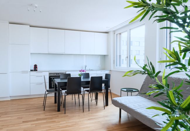 Ferienwohnung in Basel - BS Owl IV - Messe HITrental Apartment Ferienwohnung in Basel - BS Owl IV - Messe HITrental Apartment