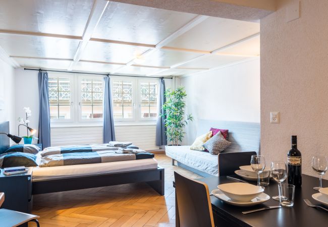 Estudio en Zúrich - ZH Niederdorf IV - HITrental Apartment