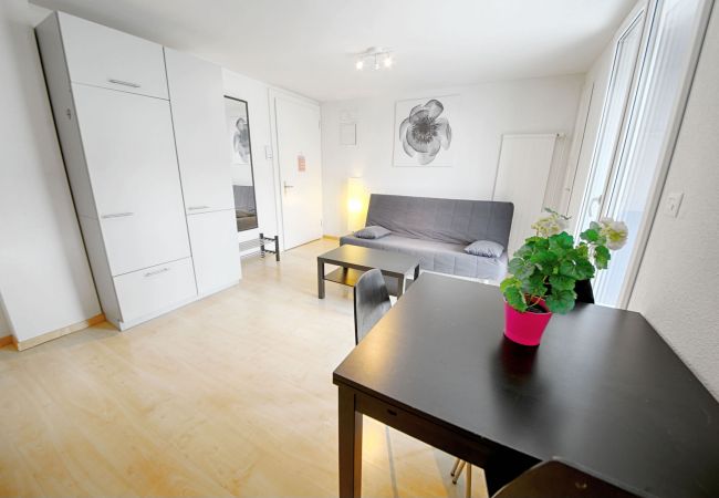 Apartamento en Zürich - ZH Khaki - Letzigrund HITrental Apartment