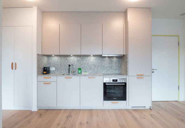 Apartamento en Zürich - ZH Yellow 3 - Letzigrund HITrental Apartment Apartamento en Zürich - ZH Yellow 3 - Letzigrund HITrental Apartment