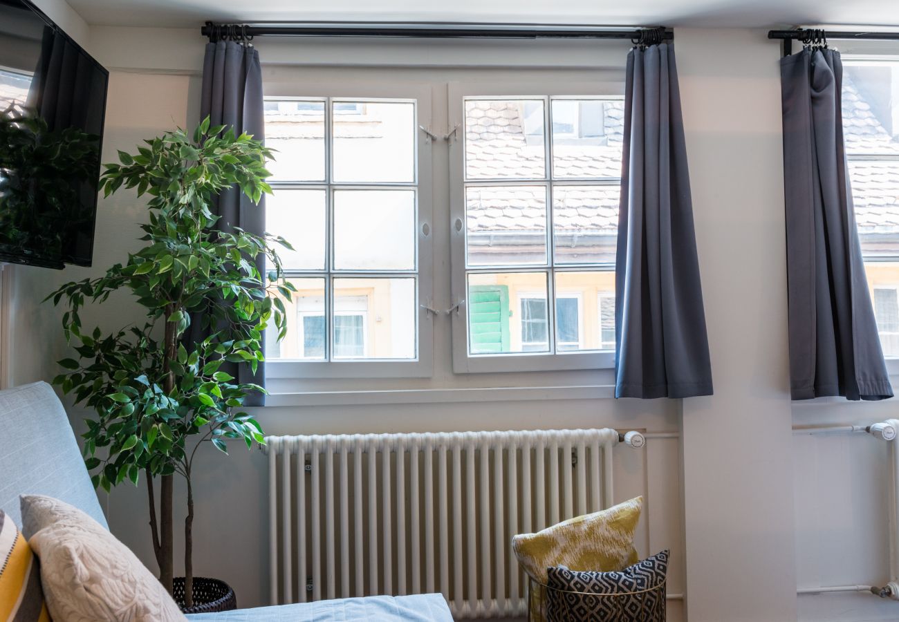 Estudio en Zúrich - ZH Schmidgasse I - HITrental Apartment