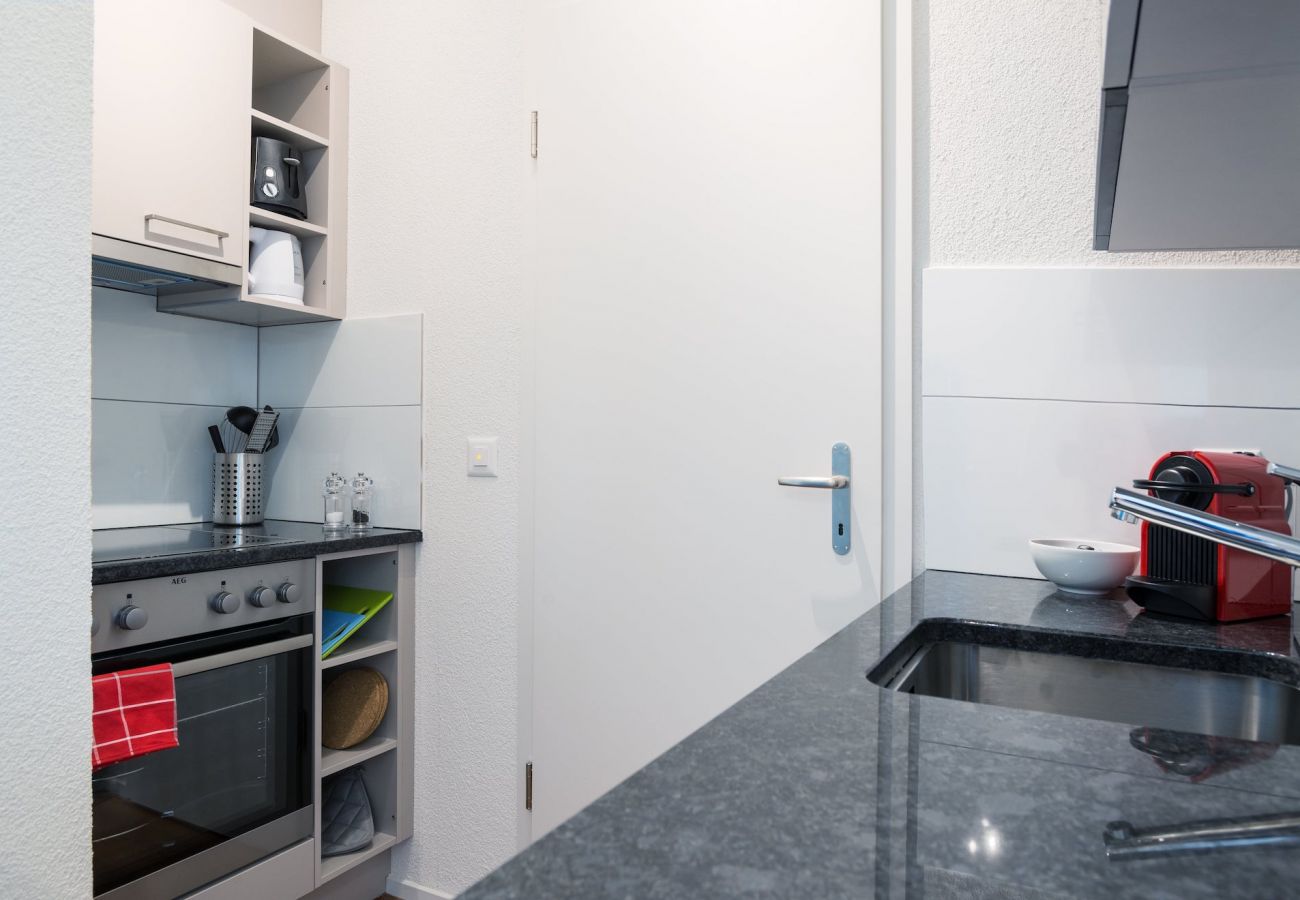 Estudio en Zurich - ZH Tiger - Altstetten HITrental Apartment