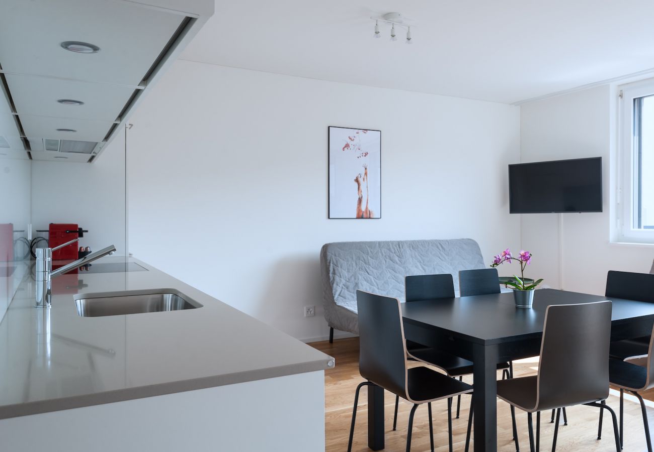 Apartamento en Basel - BS Squirrel III - Messe HITrental Apartment