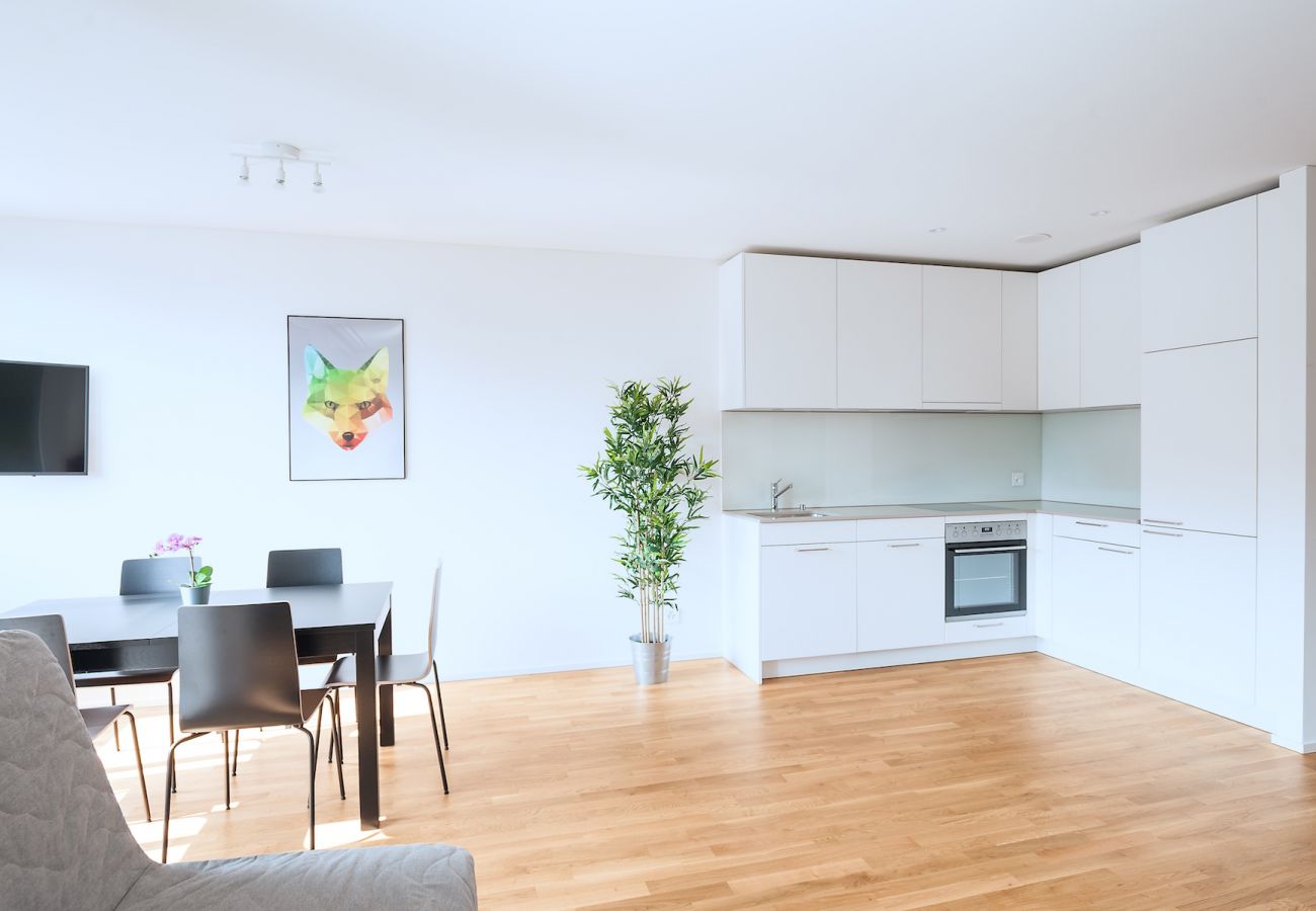 Apartamento en Basel - BS Fox II - Messe HITrental Apartment