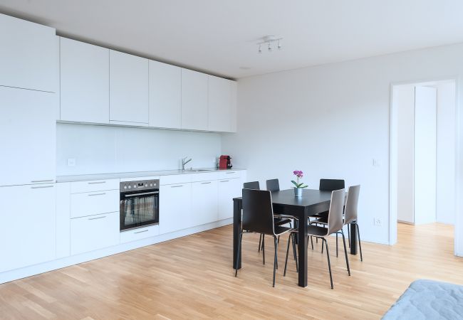 Apartamento en Basel - BS Hedgehog V - Messe HITrental Apartment Apartamento en Basel - BS Hedgehog V - Messe HITrental Apartment