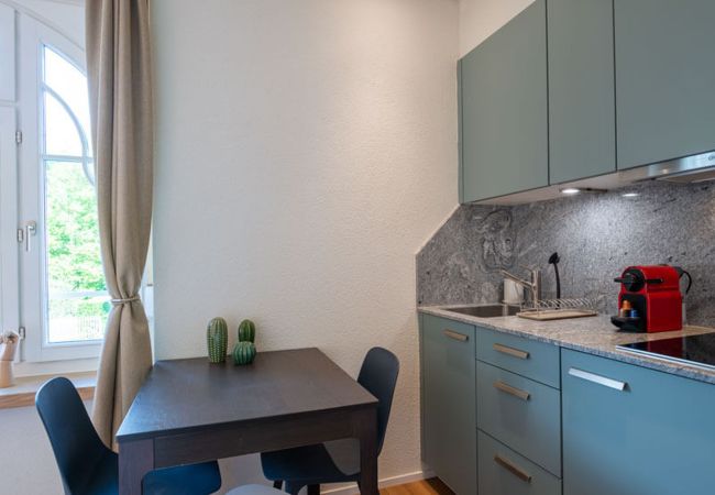 Estudio en Zurich - ZH Digitus - Riesbach HITrental Apartments Estudio en Zurich - ZH Digitus - Riesbach HITrental Apartments