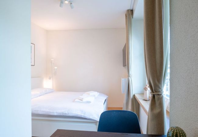 Estudio en Zurich - ZH Digitus - Riesbach HITrental Apartments Estudio en Zurich - ZH Digitus - Riesbach HITrental Apartments