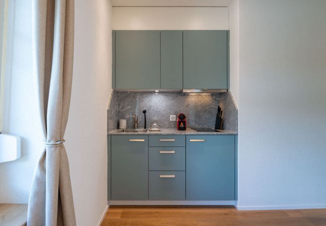 Estudio en Zurich - ZH Digitus - Riesbach HITrental Apartments Estudio en Zurich - ZH Digitus - Riesbach HITrental Apartments