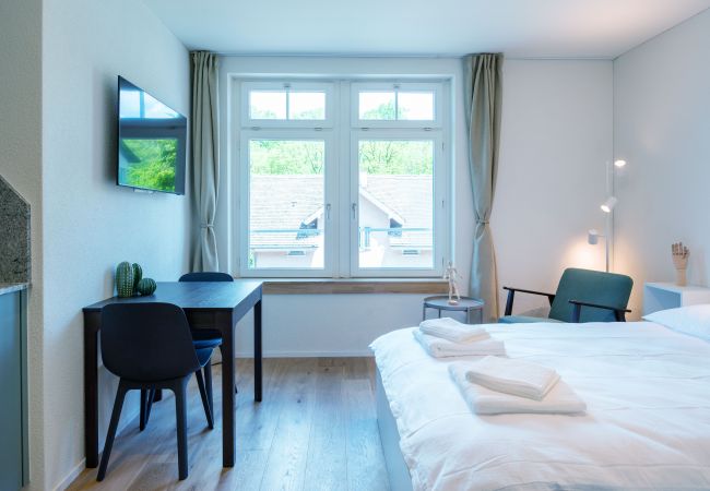 Estudio en Zúrich - ZH Radius - Riesbach HITrental Apartments