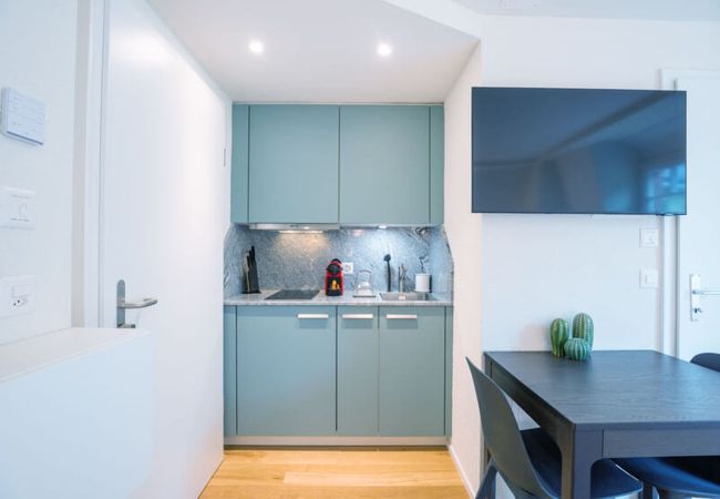Estudio en Zurich - ZH Clavicula 3 - Riesbach HITrental Apartments Estudio en Zurich - ZH Clavicula 3 - Riesbach HITrental Apartments