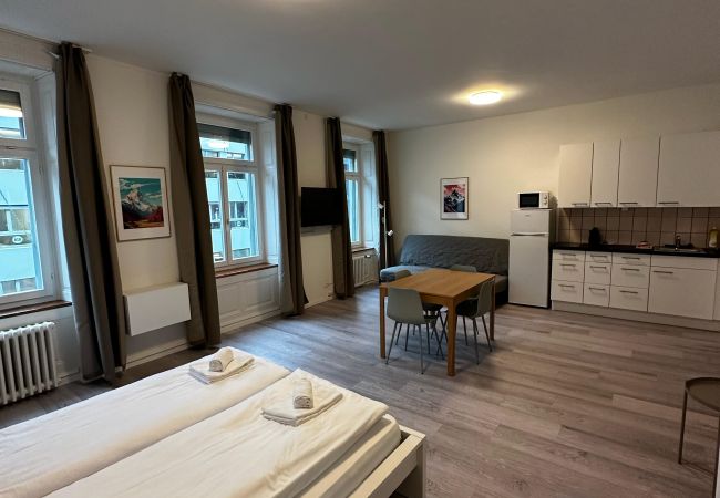 Estudio en Zurich - ZH Utoquai 2 - HITrental Seefeld Apartment Estudio en Zurich - ZH Utoquai 2 - HITrental Seefeld Apartment