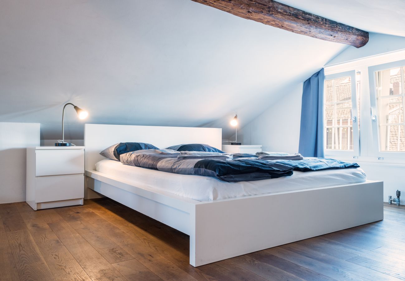 Appartement à Zurich - ZH Schmidgasse III - HITrental Apartment