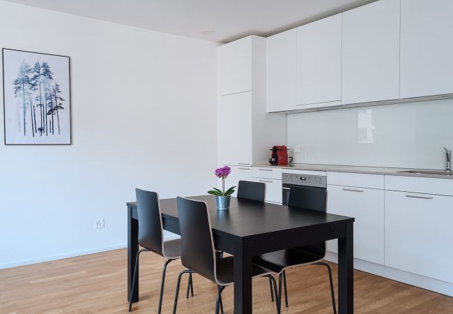 Appartement à Basel - BS Wolf II - Messe HITrental Apartment Appartement à Basel - BS Wolf II - Messe HITrental Apartment