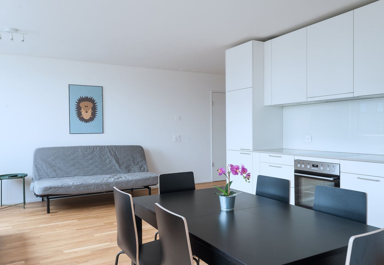 Appartement à Basel - BS Hedgehog V - Messe HITrental Apartment