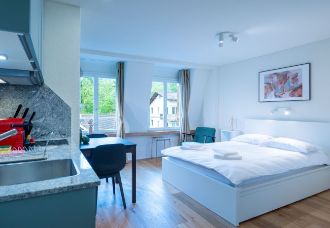 Studio à Zurich - ZH Maxilla 3 - Riesbach HITrental Apartments