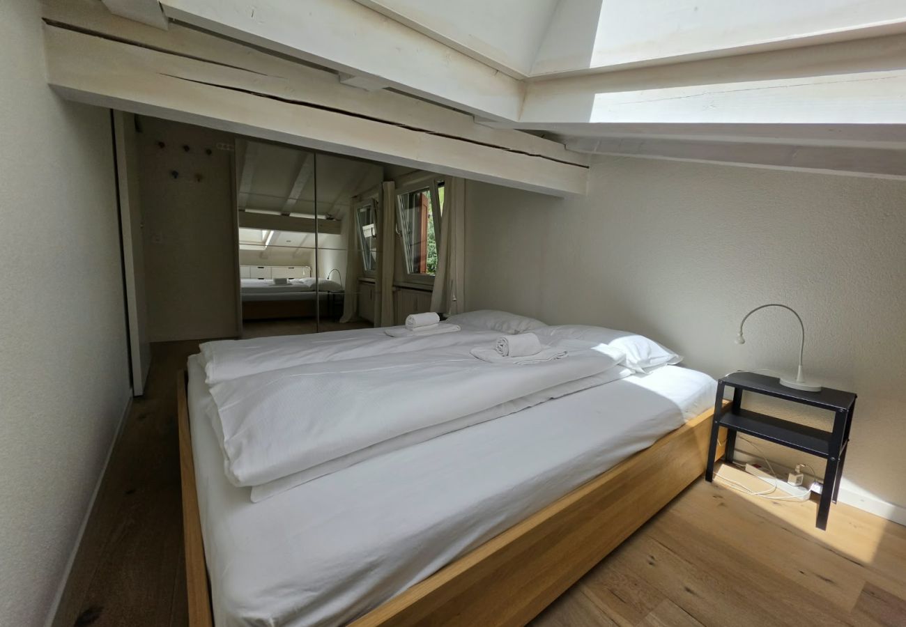 Appartement à Zuoz - EN Enzian - Engadin HITrental Apartment