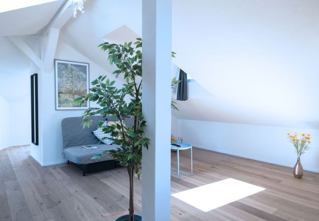 Appartamento a Zurich - ZH Peach III - HITrental Wiedikon Apartments Appartamento a Zurich - ZH Peach III - HITrental Wiedikon Apartments