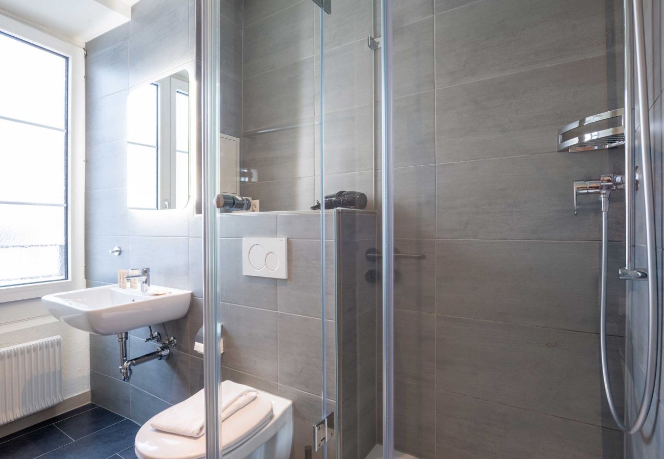 Apartament w Luzern - LU Venus 1 - Old Town HITrental Apartment