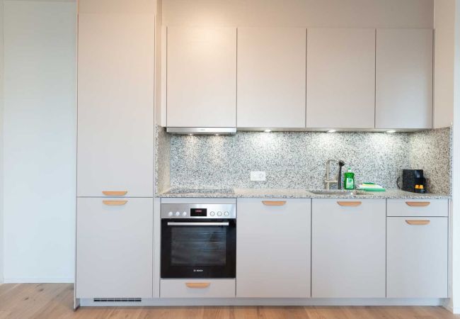Apartamento em Zürich - ZH Blue 3 - Letzigrund HITrental Apartment Apartamento em Zürich - ZH Blue 3 - Letzigrund HITrental Apartment