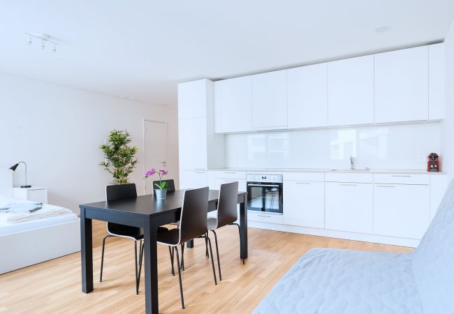 Apartamento em Basel - BS Lynx II - Messe HITrental Apartment
