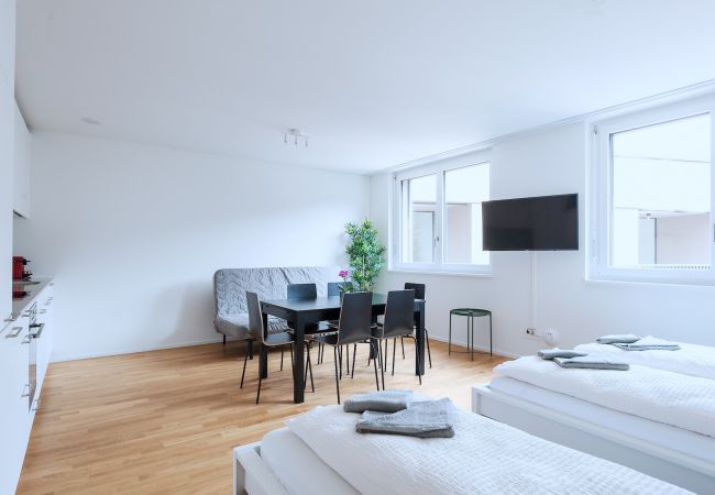 Apartamento em Basel - BS Lynx III - Messe HITrental Apartment