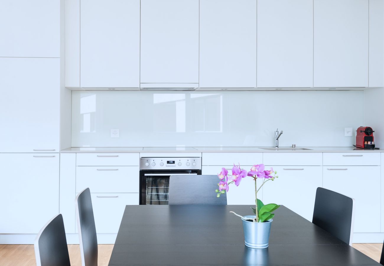 Apartamento em Basel - BS Lynx III - Messe HITrental Apartment
