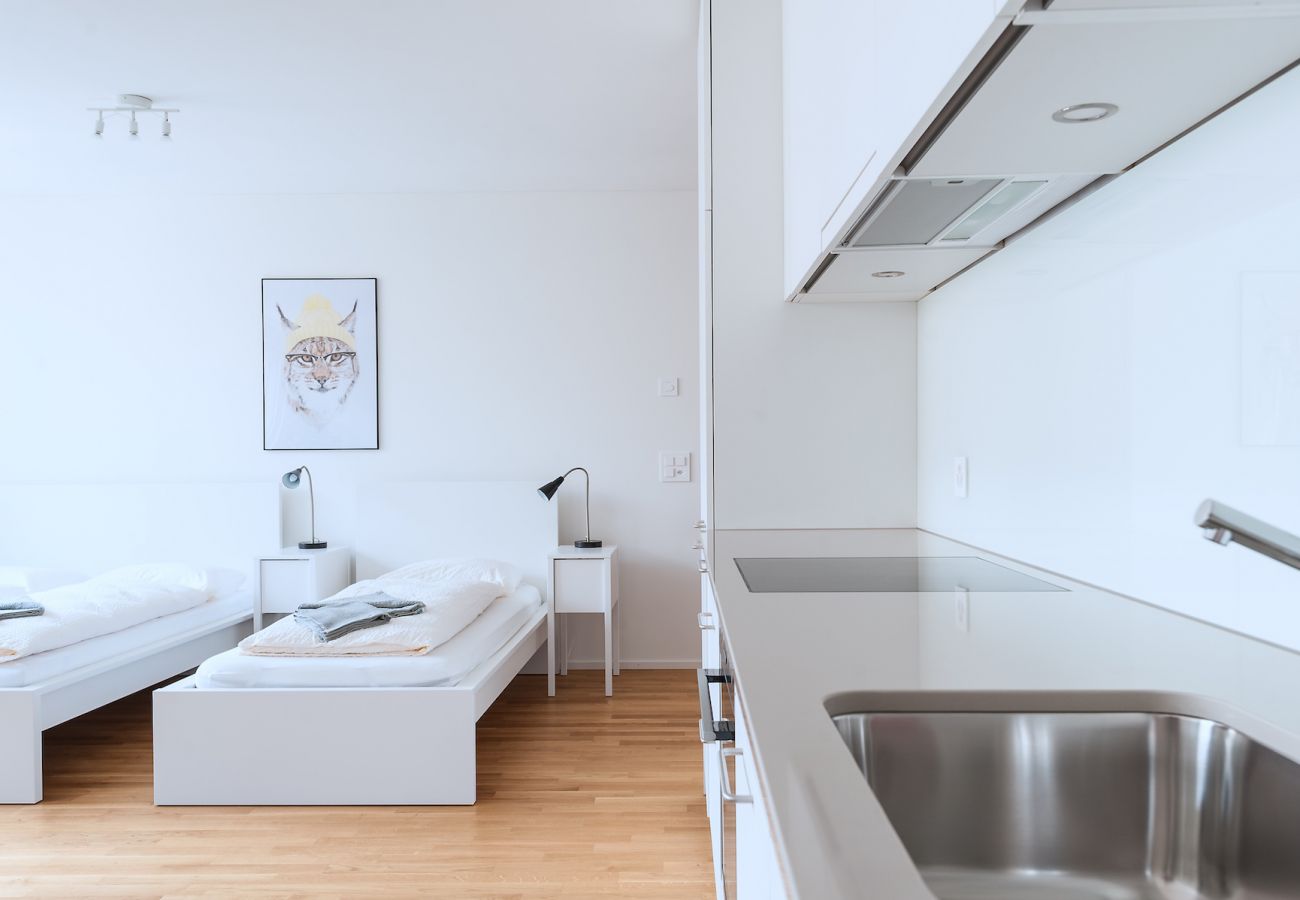 Apartamento em Basel - BS Lynx III - Messe HITrental Apartment