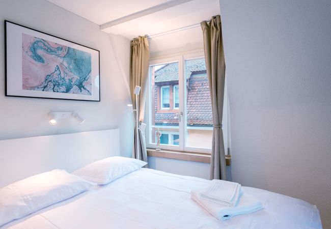 Estúdio em Zurich - ZH Mandibula 3 - Riesbach HITrental Apartments Estúdio em Zurich - ZH Mandibula 3 - Riesbach HITrental Apartments