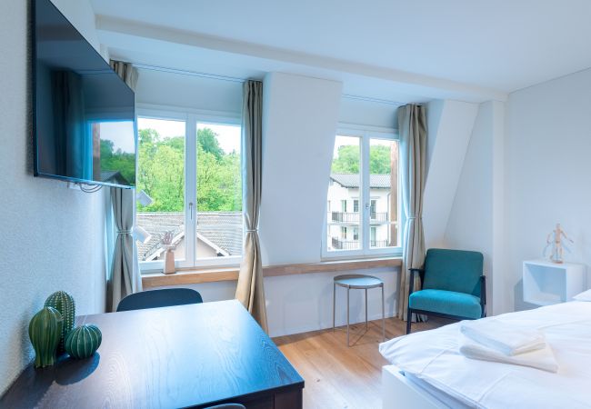Estúdio em Zurique - ZH Maxilla 3 - Riesbach HITrental Apartments