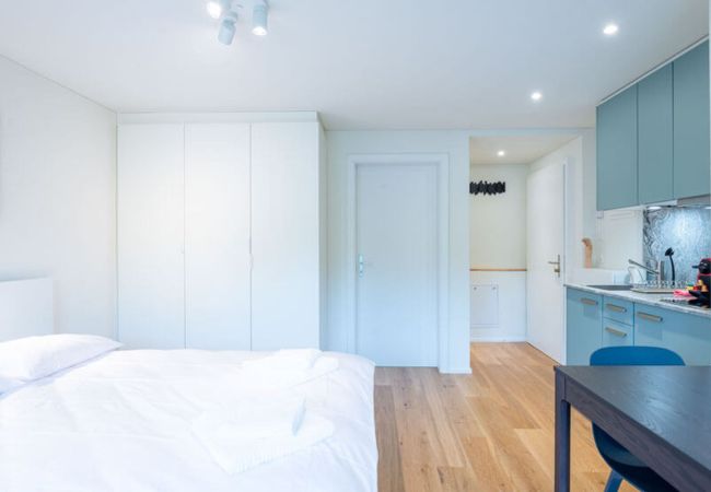 Estúdio em Zurich - ZH Maxilla 3 - Riesbach HITrental Apartments Estúdio em Zurich - ZH Maxilla 3 - Riesbach HITrental Apartments