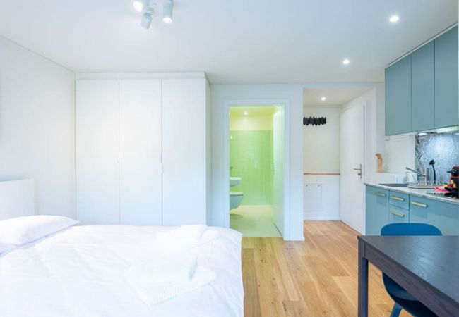 Estúdio em Zurich - ZH Maxilla 3 - Riesbach HITrental Apartments Estúdio em Zurich - ZH Maxilla 3 - Riesbach HITrental Apartments