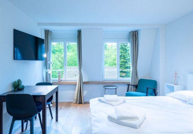 Estúdio em Zurich - ZH Maxilla 3 - Riesbach HITrental Apartments Estúdio em Zurich - ZH Maxilla 3 - Riesbach HITrental Apartments