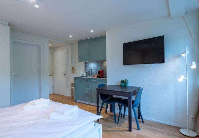 Estúdio em Zurich - ZH Maxilla 3 - Riesbach HITrental Apartments Estúdio em Zurich - ZH Maxilla 3 - Riesbach HITrental Apartments