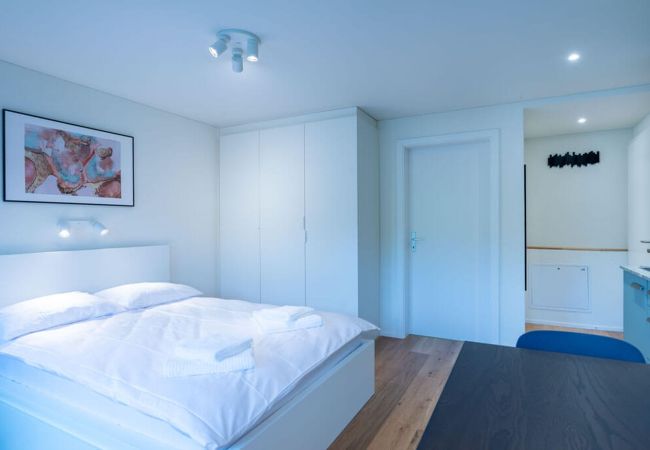 Estúdio em Zurich - ZH Maxilla 3 - Riesbach HITrental Apartments Estúdio em Zurich - ZH Maxilla 3 - Riesbach HITrental Apartments