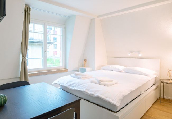 Estúdio em Zurique - ZH Clavicula 3 - Riesbach HITrental Apartments