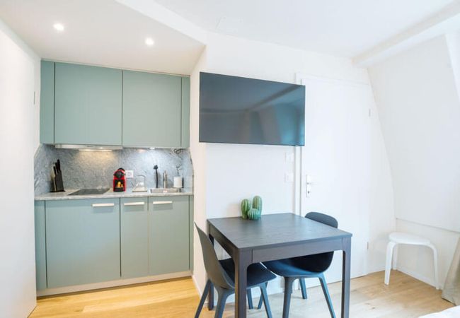 Estúdio em Zurich - ZH Clavicula 3 - Riesbach HITrental Apartments Estúdio em Zurich - ZH Clavicula 3 - Riesbach HITrental Apartments