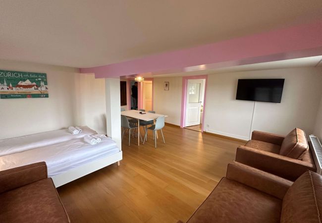 Apartamento em Zurich - ZH Hesse 4 - Limmatquai HITrental Apartment Apartamento em Zurich - ZH Hesse 4 - Limmatquai HITrental Apartment