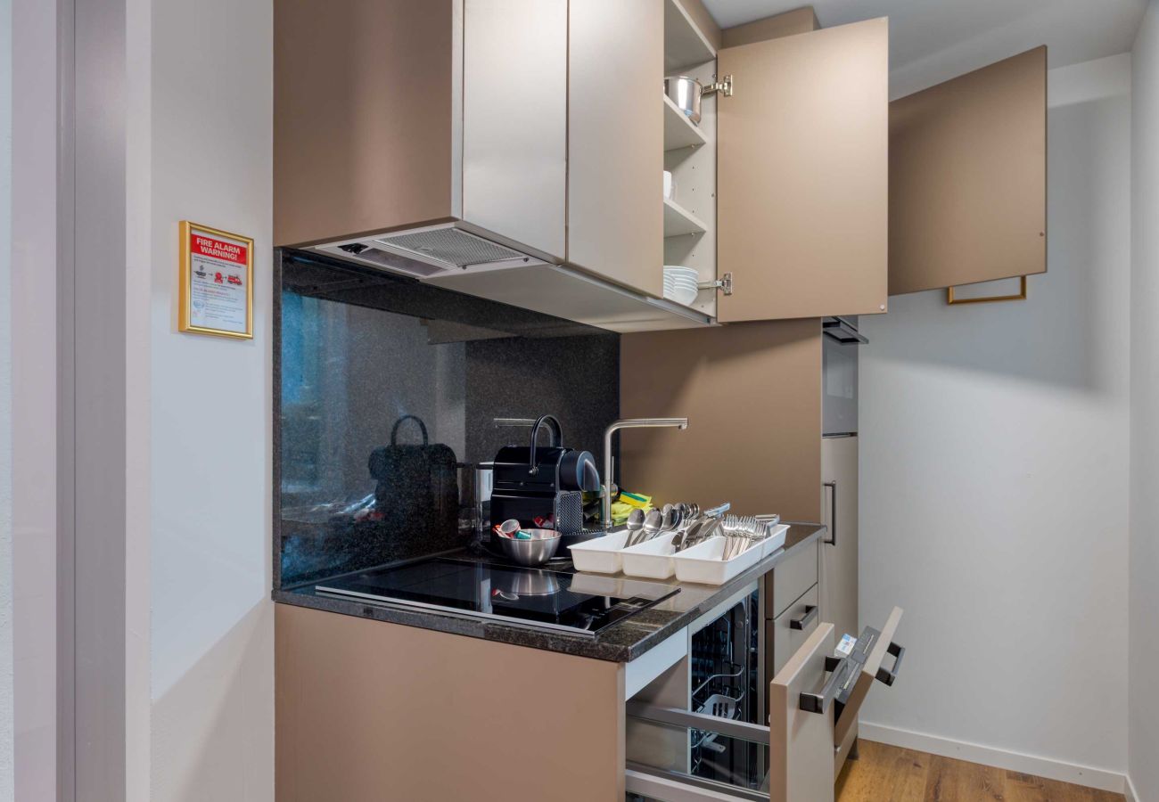 Apartamento em Luzern - LU Emme 4 - HITrental Eisengasse Apartment