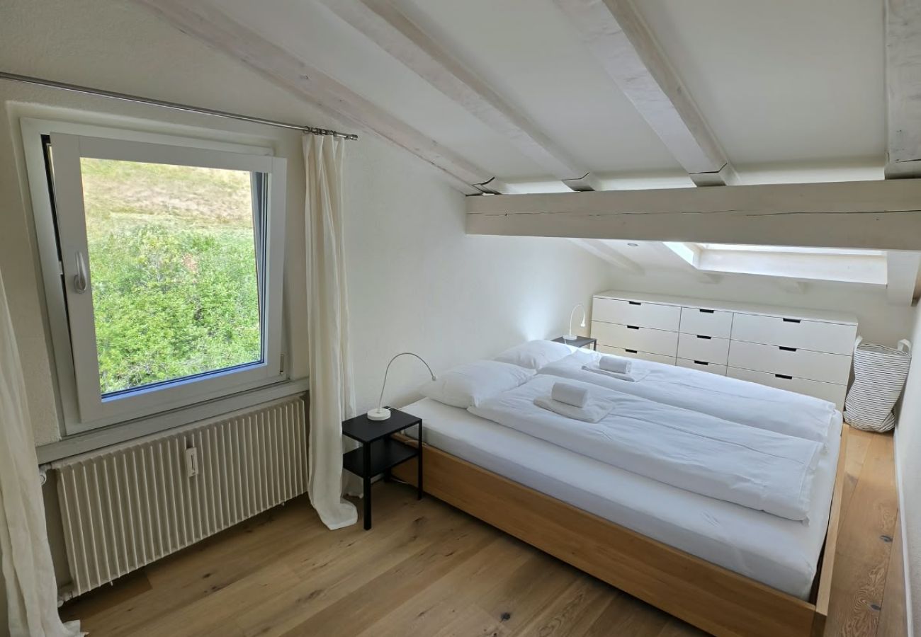 Apartamento em Zuoz - EN Enzian - Engadin HITrental Apartment