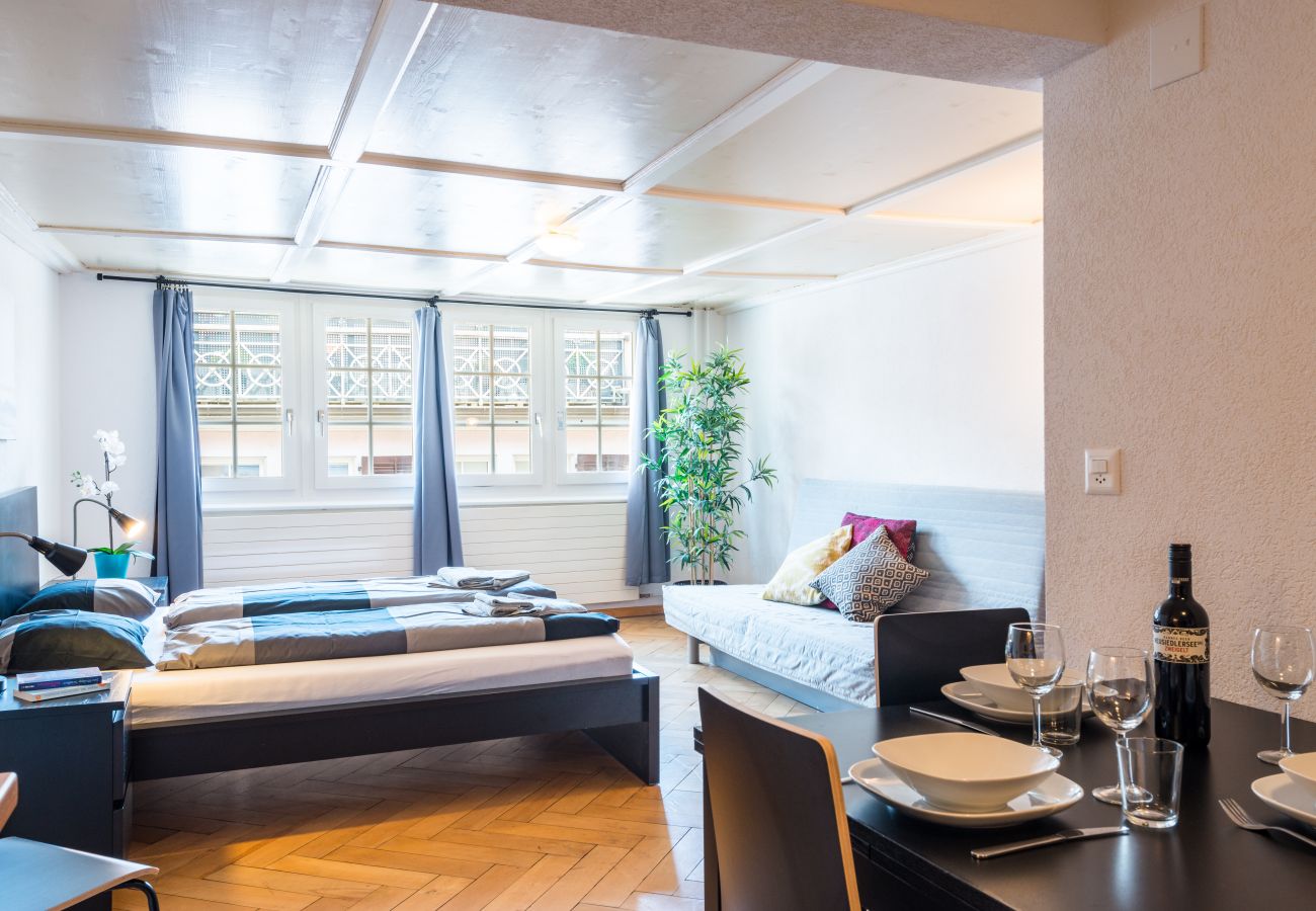 Studio in Zurich - ZH Niederdorf IV - HITrental Apartment