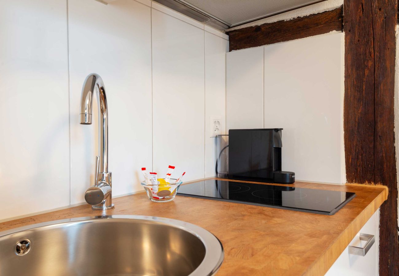 Studio in Luzern - LU Aldebaran 4 - Chapel Bridge HITrental Apartment