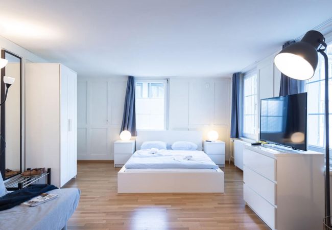 Studio in Zug - ZG Zeughausgasse VI - Apartment Studio in Zug - ZG Zeughausgasse VI - Apartment