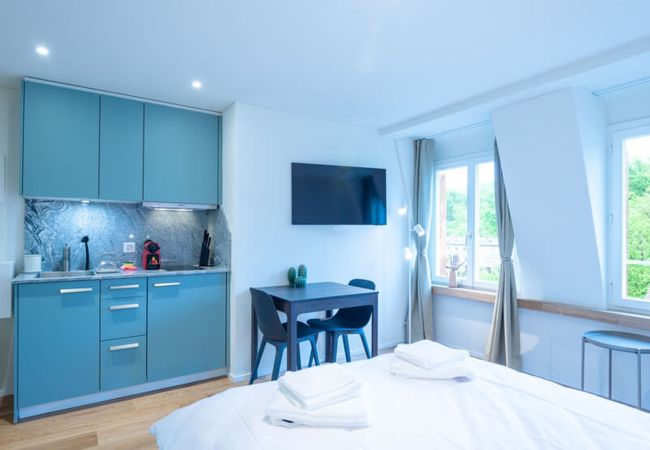 Studio in Zurich - ZH Maxilla 3 - Riesbach HITrental Apartments Studio in Zurich - ZH Maxilla 3 - Riesbach HITrental Apartments