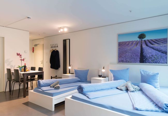 Квартира-студия на Luzern - LU Gletschergarten II - Allmend HITrental Apartmen Квартира-студия на Luzern - LU Gletschergarten II - Allmend HITrental Apartmen