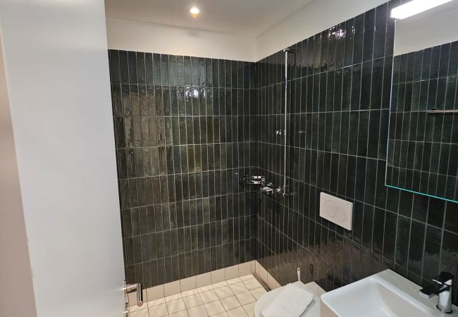 Апартаменты на Zürich - ZH Green 5- Letzigrund HITrental Apartment Апартаменты на Zürich - ZH Green 5- Letzigrund HITrental Apartment