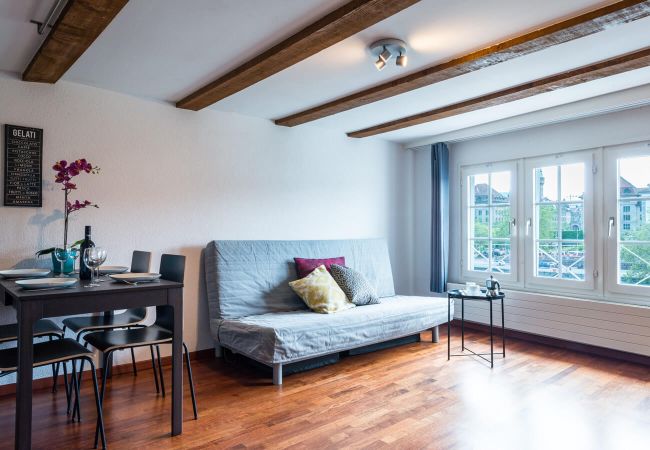 Квартира-студия на Zürich - ZH Limmat 4 - HITrental Apartment Квартира-студия на Zürich - ZH Limmat 4 - HITrental Apartment