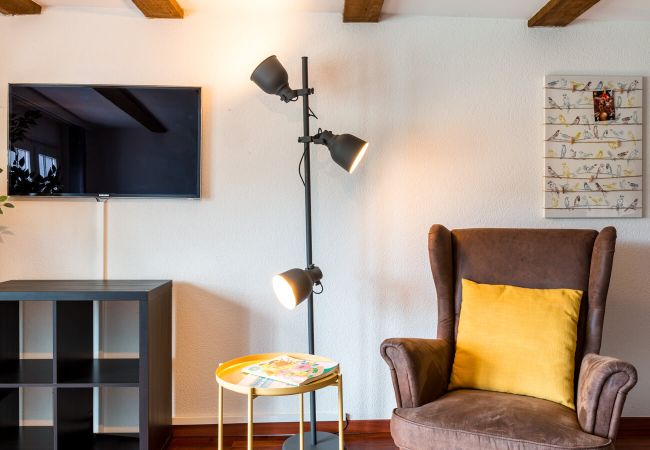Квартира-студия на Zürich - ZH Limmat 4 - HITrental Apartment Квартира-студия на Zürich - ZH Limmat 4 - HITrental Apartment