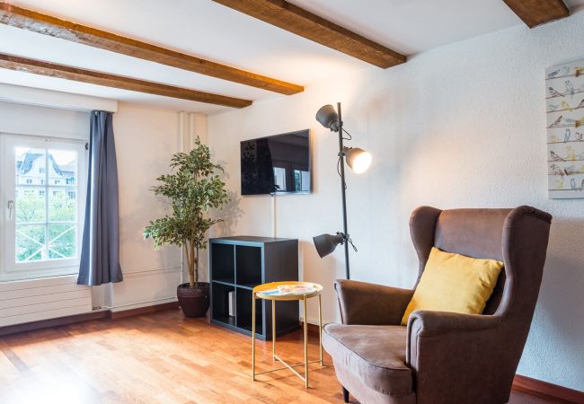 Квартира-студия на Zürich - ZH Limmat 4 - HITrental Apartment Квартира-студия на Zürich - ZH Limmat 4 - HITrental Apartment